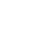 Mentorship and Community